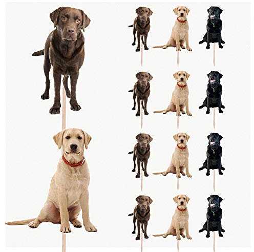 AK Giftshop Cupcake-Aufsätze für Geburtstagspartys, Labrador-Hunde, 14 Stück