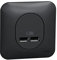 Schneider Electric - Ovalis - Double chargeur usb 2.1 A - Avec plaque de finition -Anthracite - S460407