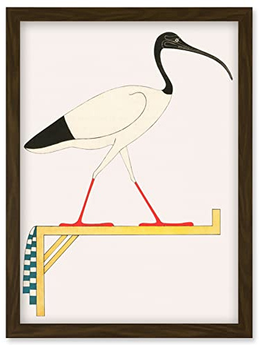 Wee Blue Coo Sacred Ibis Bird on Stand Thoth Egyptian Vintage Illustration Artwork Framed Wall Art Print A4
