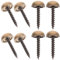 8 Sets Mirror Screws, 9 mm Mirror Nails with Decorative Caps, Bass Mirror Covers with Self Tapping Screw for Tables, Bath Plates, Furniture Fittings, Antique brass