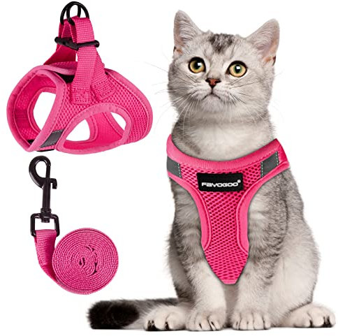 FAYOGOO Katzengeschirr Katzenleine Geschirr für Katzen, Katzengeschirr mit Leine AusbruchsicherVerstellbares Katzen Geschirr Kontrollierende Atmungsaktive Katzenleine mit Reflektierenden Streifen