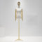 Weibliche Schaufensterpuppe mit Armen, Verstellbarer Schaufensterpuppen Torso Kopfdrehpuppenständer Metallsockel für Ladengarderobe modernes Halbkörper-Ausstellungsregal,Golden Triangle c