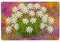 XDVPALNE Schweizer Edelweiss Blumen, Wandkunstdrucke, Metallschild, Dekor, Wandbehang, Gemälde für Heimdekoration, 20 x 30 cm