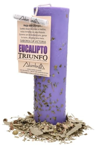 Handgefertigte Eukalyptus-Kerze – entspannender Duft für Zuhause – lange Lebensdauer, ideal für Meditation und Stressabbau – handgefertigt aus natürlichen Inhaltsstoffen