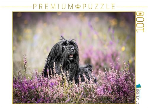 CALVENDO Puzzle EIN Motiv aus dem Kalender Havaneser - Wirbelwinde aus Kuba | 1000 Teile Lege-Größe 64 x 48 cm Foto-Puzzle für glückliche Stunden
