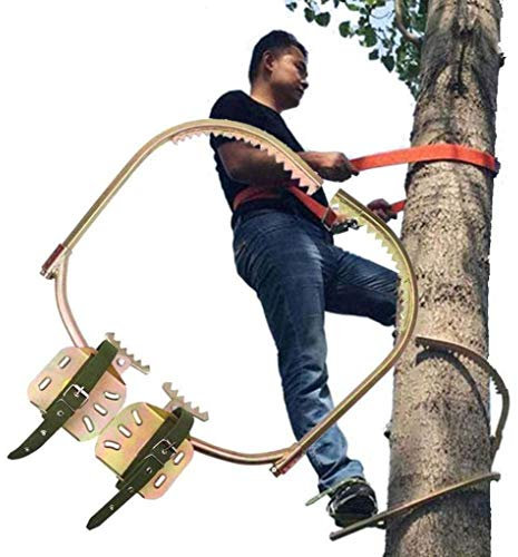 RONGJJ Climbing Harness, Pole Climbing Spikes, Electrician's Foot Buckle, Tree Climbing Gear Easy To Use For Hunting Observation Picking Fruit Coconut
