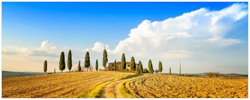 Wallario Küchenrückwand selbstklebend 115 x 50 cm, Motiv: Italien - Toskana unter blauem Himmel einsame Farm | Spritzschutz abwischbar & pflegeleicht
