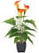 Athemeet Gefälschte Blumen Pflanzen orange Artificial Calla-Lilien-Blumen Künstliche Topfpflanze im Freien Garten-Hang Innen Zuhause Küche Büro Tischdekoration Vase Korb Topf Herbstdekorationen