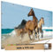TRIOSK Große Motivplane Sichtschutz Zaunblende mit Motiv Pferde Meer Strand Strandpferde Motivbanner Garten Deko Plane Blickdicht für Zaun Terrasse Gartenzaun Zaunplane PVC 340x173 cm