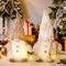 NSXIN Weihnachten Deko Wichtel Figuren, Leuchtende Weihnachtsdeko mit Beleuchtung Weihnachtswichtel, Weihnachtsdorf LED Santa Tomte Gnom Zwerg Geschenke für Familie Freunde (Stil C/ 2 Stück Weiß)