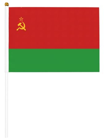 Flagge von Belarus, doppelseitige Handkurbelflagge, 14 x 20,8 cm, für Feiertagsparty-Dekoration, Wettbewerbe