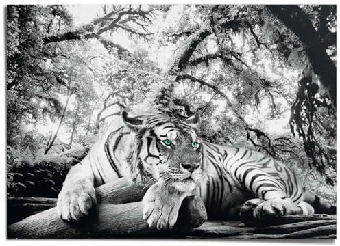REINDERS Giant Poster XXL, Tiger, Wohnzimmer, Bilder, Wanddeko, Room Decor, Papier, Schwarz, 100x140cm