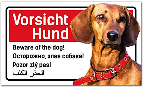 Vorsicht Hund Schild 5-sprachig 25x15cm Dackel -Dachshund - Teckle