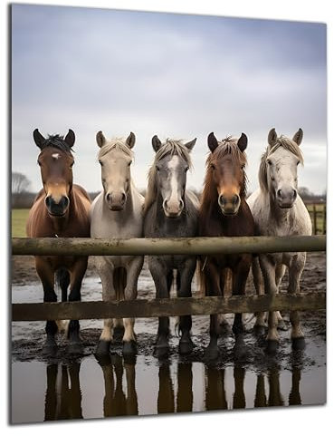 Munera Design - Bild 56x84 - Pferd Pferde-Bilder 5 Pferde am Zaun - Wand-Bilder Wohnzimmer