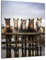 Munera Design - Bild 56x84 - Pferd Pferde-Bilder 5 Pferde am Zaun - Wand-Bilder Wohnzimmer