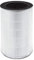 HoMedics Replacement HEPA AP-T20-Type Filter for HoMedics Compact Air Purifier - Removes Up to 99% of Airborne Allergens a Small as 0.3 Microns, Pollen, Dust, Smoke, Pet Dander, Mold Spores and Germs