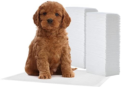 Iris Ohyama, Alaise pour Chien, Alèse Jetable 44x30 Tapis Educateur pour Chiot, Apprentissage de la Propreté, 5 Couches de Protection Anti-Fuite et Résistante (100 Pièces) - Pet Pad NS-100R