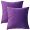 GONOVE Kissenbezug 40x40cm Dekorative Wurf Kissenbezug 2er Set Samt Weiche Kissenbezüge Dekokissenbezug Sofakissen Couchkissen Kissenhülle für Wohnzimmer Sofa Schlafzimmer