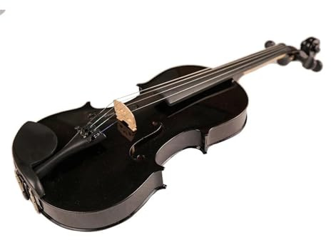 Geigen Lack Anfänger Violine Ahorn Holz Geige Violino Bogen Schulterstütze Fall(1/2)