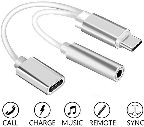 REY Câble Adaptateur USB C 3.1 mâle vers Jack 3.5mm et USB C 3.1 Femelle, Blanc et Argent