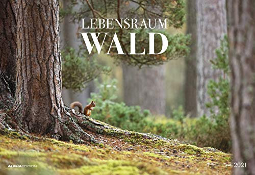 Lebensraum Wald 2021 - 49,5x34 cm - Forest - Landschaft - Natur - Wand-Kalender - Alpha Edition