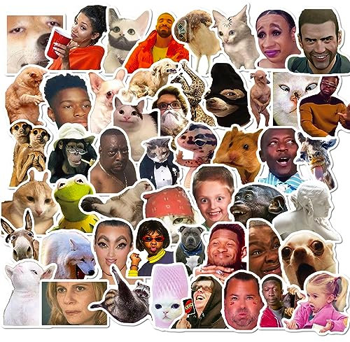 AUCEKO 50 Stück Meme Aufkleber Pack Meme Sticker Set wasserdichte Vinyl Sticker für Laptop Kinder Autos Motorrad Fahrrad Skateboard Gepäck Koffer Computer Aufkleber Graffiti Decal
