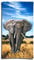 ESPiCO Strandlaken Badetuch Elefant Tier Afrika Safari Wüste Steppe 100 cm x 180 cm