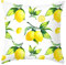 KnBoB Kissenhülle 40 x 40 cm, Polyester Zitrone Muster Kissenüberzug Sofa Kissenbezug, Gelb Grün Weiß