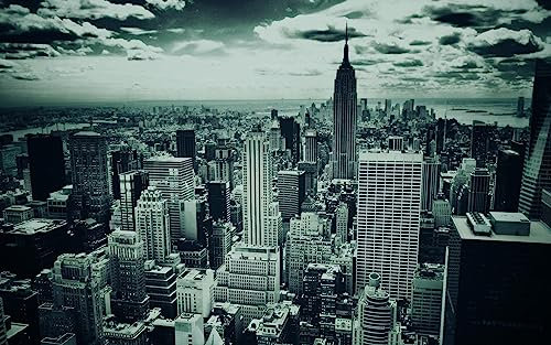 Klassische Puzzles 1000 Teile Schwarz-Weißes New York 75 * 50Cm