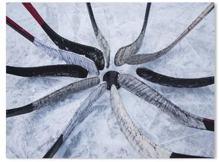 Jigsaw Puzzles 1000 Stück，Elf Vereine– Eishockey，Für Karton Kinder Spiele Lernspielzeug（38x26cm-186