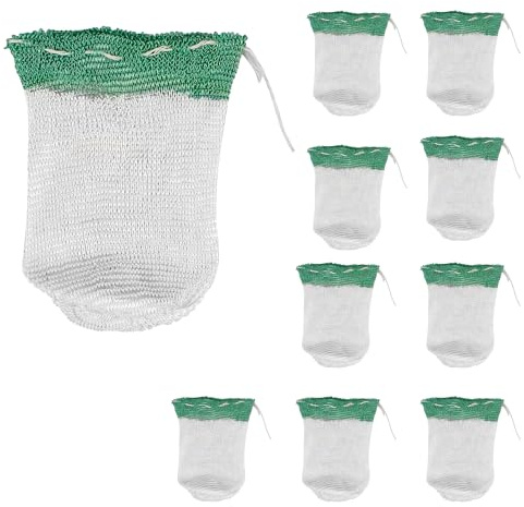 Accesorios de farol de camping mejorados, mantos de linterna de camping para coleman estándar con lazo de cuerda #21 (10 repisas en total)
