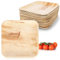 Moritz & Moritz Palmblatt Teller eckig 20 x 20 cm - 100 Nachhaltige Einwegteller - Alternative zu Bambusteller und Bambusgeschirr