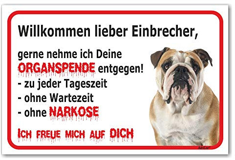 AdriLeo Schild - Vorsicht Englische Bulldogge - Willkommen lieber Einbrecher - (30x40cm) / Achtung Hund Wachhund robust langlebig UV-beständig wetterfestes Warnschild
