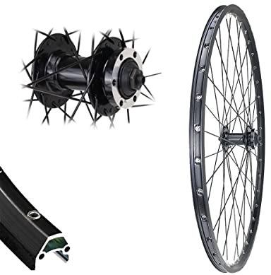 Bärwinkels 28 Zoll Vorderrad DC19 Disc schwarz Black Dingo NAbe für 6-Loch Bremse Schnellspanner 19-622