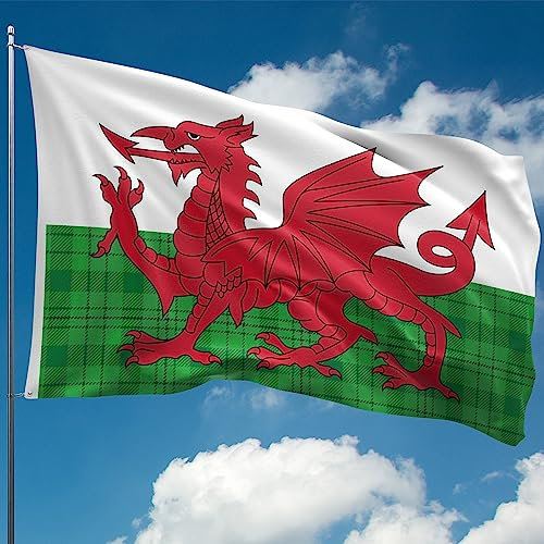 Walisische Flagge, Schottenkaro – Wales-Flagge – Wales Dragon – doppelseitiger Digitaldruck – 110 Den dickes Polyester – Doppelnaht – 2 Messingösen, groß 1,5 m x 0,9 m