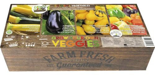 Grow-Box Farm Fresh Starter-Kit buntes Gemüse Anzuchtkiste inkl. Gemüse Saatgut und Anzuchterde 39,5x19,5x7,5 cm