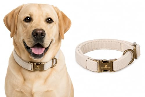 Halsband Hund - Janka Hundehalsband aus Nylon - Verstellbar - Robuster Klickverschluss - Beige - M 40–55 cm x 20 mm - Flamingo