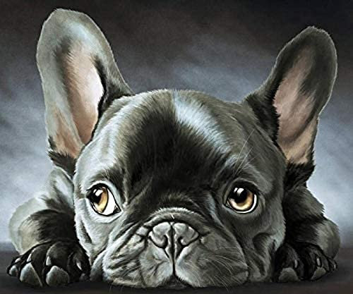 WYWQN 5D Diy Diamond Painting Kit Schwarze Französische Bulldogge Diamond Painting Arts Craft für Home Wall Decor Full Kit (Square Diamond Painting 40x40CM