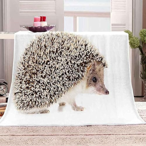 Kuscheldecke Igel Flanell Fleecedecke 3D Igel Wohndecke 200x200 cm Sofadecke Couchdecke Bettüberwurf Flauschige Weiche Warme Sofaüberwurf Decke Wohndecken w1265