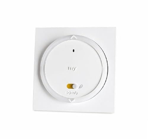 Commande Amy 1 RS100 io cadre, 1 canal io-homecontrol, capteur température intégré
