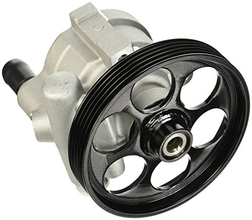 ESEN SKV Hydraulikpumpe, Lenkung 10SKV151 | Kompatibel mit: NISSAN INTERSTAR Bus, INTERSTAR Kasten, PRIMASTAR Bus, PRIMASTAR Kasten, PRIMASTAR Pritsche/Fahrgestell