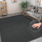 BEIMO Waschbarer Teppich Wohnzimmer Kurzflor Anti-Rutsch Unterseite Uni Modern Design Teppich Weich rutschfest für Esszimmer, Kinderzimmer und Schlafzimmer, Dunkelgrau, 80X150CM