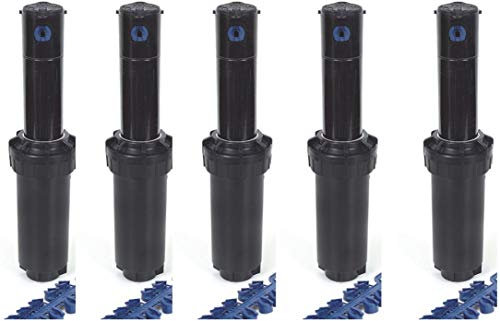 Rainbird Typ 5004+ PC Versenkregner, 10cm (5 Stück)