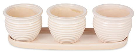 DII Lot de Pots à Herbes aromatiques en céramique, Couleur crème, 12 x 4 x 4 cm