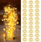 btfarm 【30 Stück LED Lichterkette Batterie Klein, 2M 20LED Silberdraht Mini Lichterkette Batteriebetrieben, Micro Lichterkette Draht Wasserdichte für Weihnachten Hochzeit Party Innen Deko, WarmWeiß