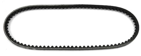 ROBUST Keilriemen Servopumpe 10 X 730 für 100 Bmw E36 Seat Toledo VW Golf 2 Jetta 2 Passat Scirocco