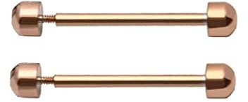 1 Paar Uhrenarmband-Schraubstifte, Smartwatch-Armband-Verschluss, Schnalle, Reibungsrohr, Uhrenersatzzubehör, Reparaturwerkzeug, 16 mm, 18 mm, 20 mm, 22 mm, rose gold, 18 mm