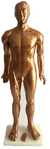 Bronze Menschliches Akupunktur-Modell, 84 cm, menschlicher Körper, Akupunktur, Bronze-Modell, HD klare Akupunkturpunkte, menschlicher Körper, Meridian-Modell für Medizinstudenten