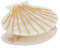 Pinzas para el pelo con forma de concha para mujer, pinzas de acetato para el cabello, pinzas para el pelo con patrón de mármol de playa, pinzas para el cabello grueso y fino, accesorios para el