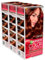 Garnier Color Sensation Colorazione Permanente in Crema Lunga Durata con Olio di Rosa Copre il 100% dei Capelli Bianchi Colore 5.35 Castano Cannella - 3 Tinte